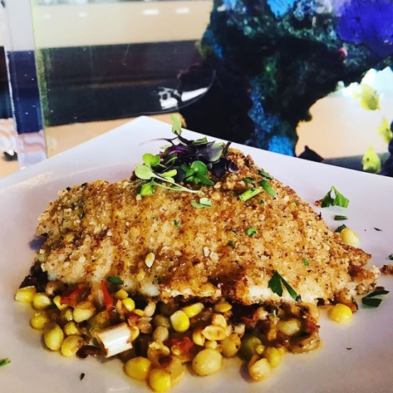 Escape the rain with lunch at our house!
Today's special: Pecan crusted flounder over summer succotash, finished with cane syrup-creole vinaigrette